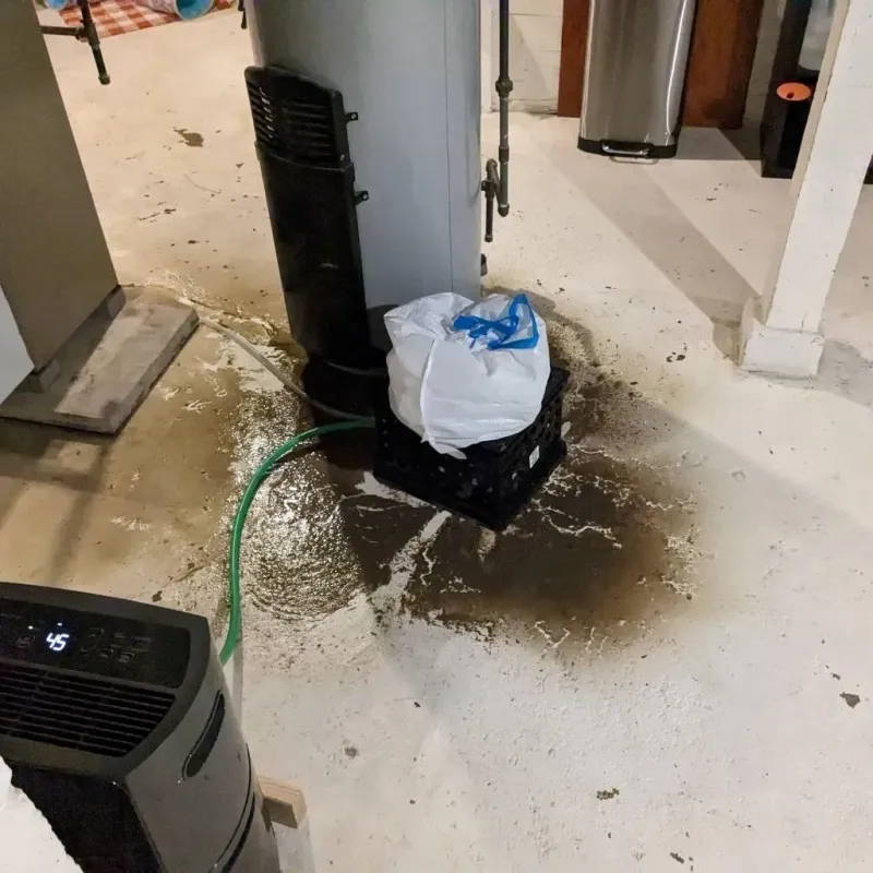 Sewage Backup Cleanup Service in Owensville, MO